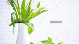 demo attachment 783 brooke lark 210780@2x